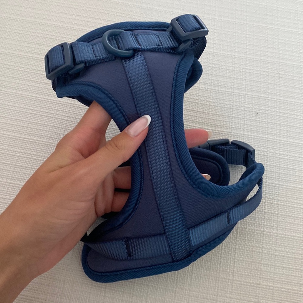 Wild One Dog Harness XS